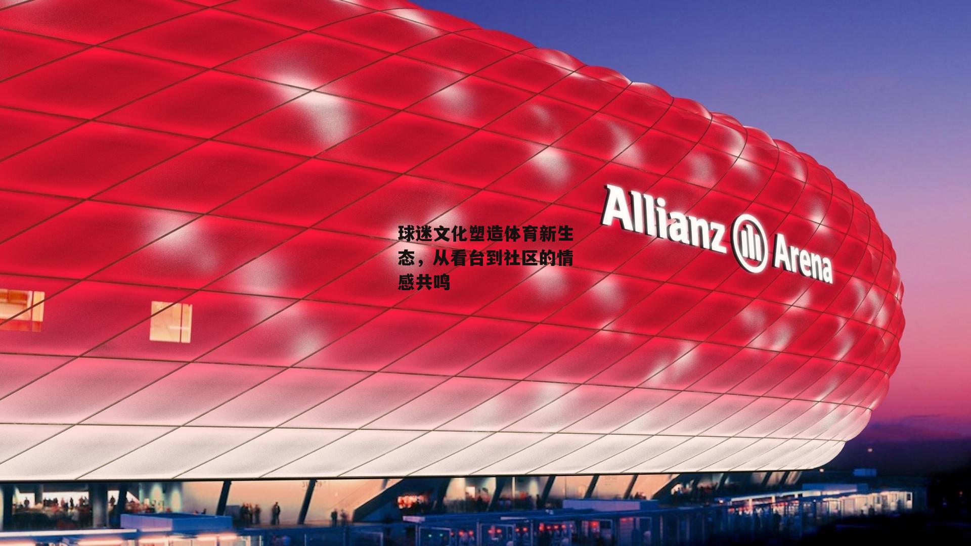 球迷文化塑造体育新生态，从看台到社区的情感共鸣